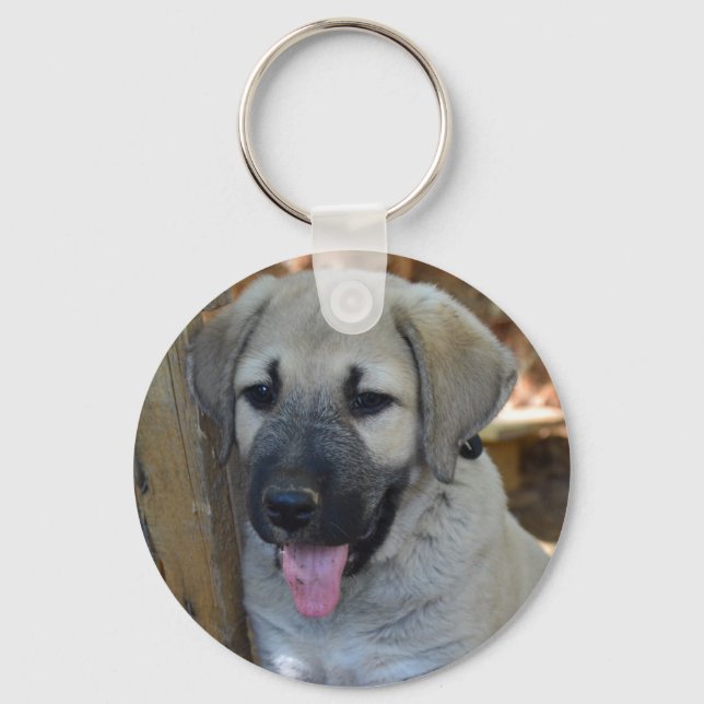Kangal - Anatolian Sheep Dog Keychain (Front)