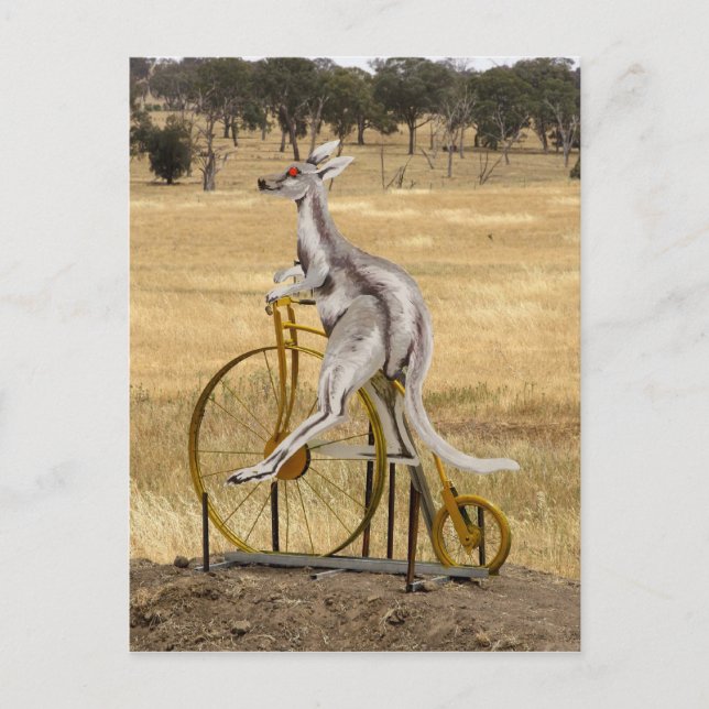 Kangaro On Wheels Postcard (Front)