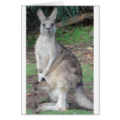 Kangaroo and Joey (Front)