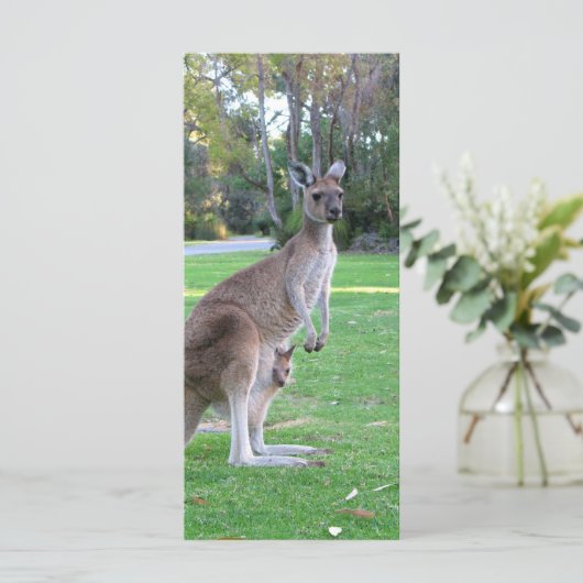 Kangaroo and Joey (Standing Front)