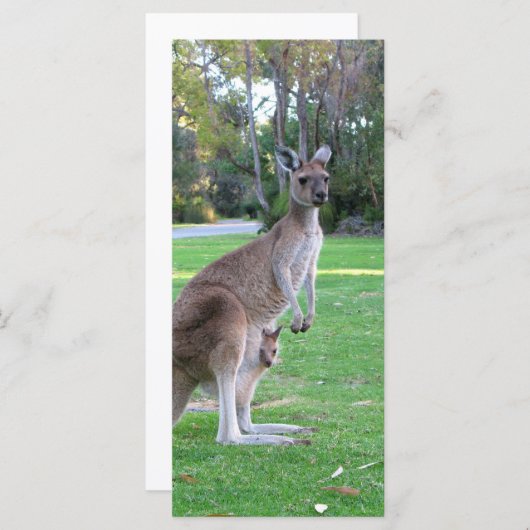 Kangaroo and Joey (Front/Back)