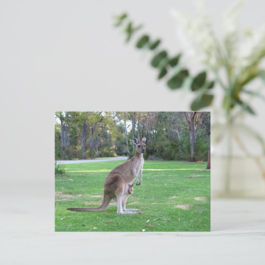 Kangaroo and Joey (Standing Front)