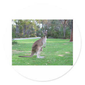 Kangaroo and Joey Classic Round Sticker