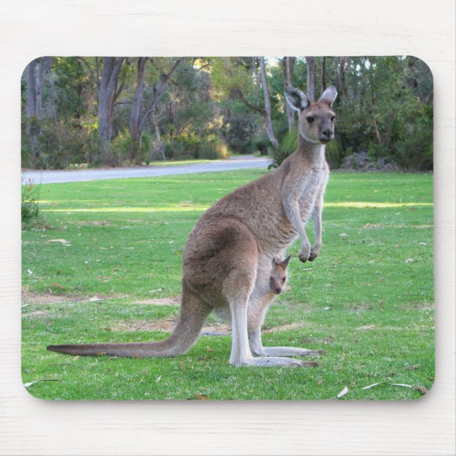 Kangaroo and Joey Mouse Pad (Front)