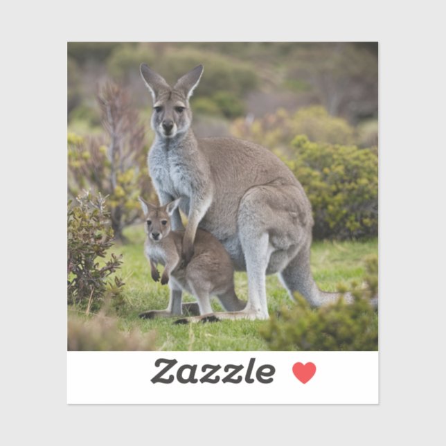 Kangaroo and Joey Sticker (Sheet)