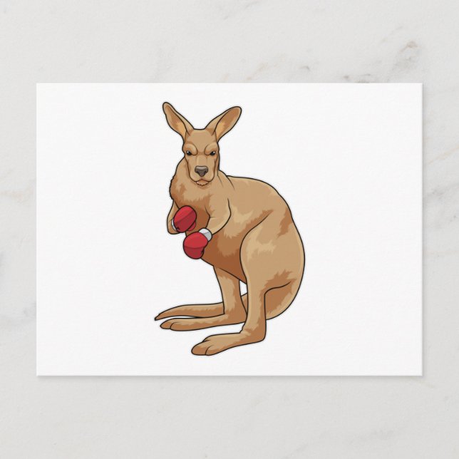 Kangaroo as Boxer with Boxing gloves Postcard (Front)