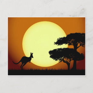 Kangaroo at sunset postcard