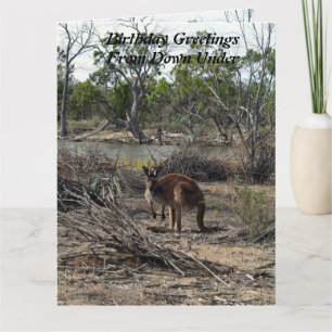 Kangaroo At The Billabong, Jumbo Birthday Card, Card
