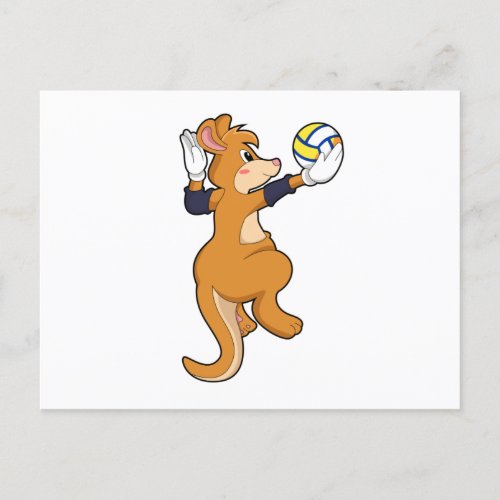 Kangaroo at Volleyball Sports Postcard