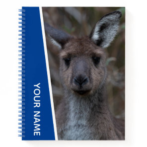 Kangaroo Baby Joey Portrait Australia, Blue Notebook