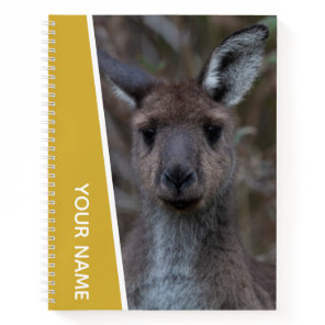 Kangaroo Baby Joey Portrait Australia, Gold Notebook