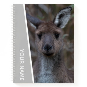 Kangaroo Baby Joey Portrait Australia, Silver Notebook