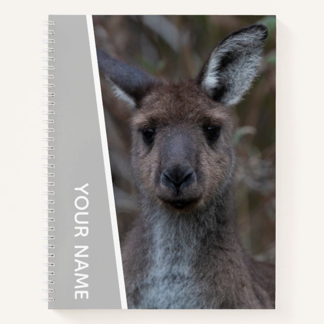 Kangaroo Baby Joey Portrait Australia, Silver Notebook (Front)