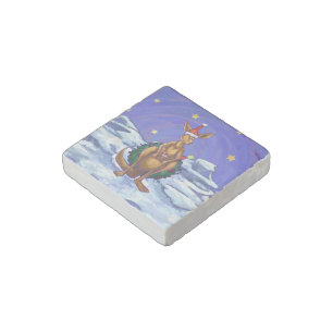 Kangaroo Christmas Starry Night Stone Magnet