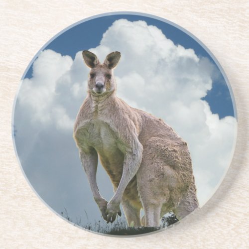 Kangaroo Coasters