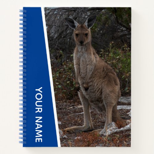 Kangaroo Cute Baby Joey Photo Australia Blue Notebook