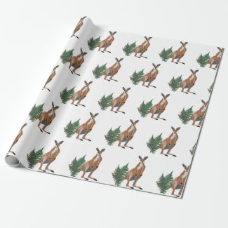 Kangaroo Drawing