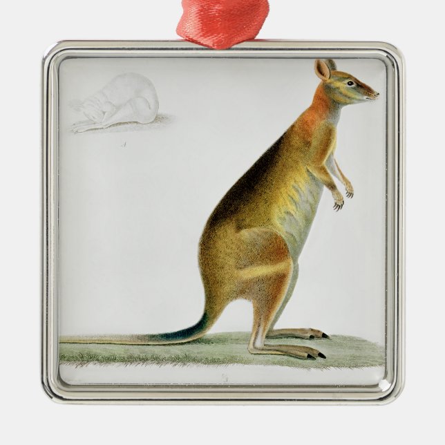 Kangaroo, engraved by Coutant Metal Ornament (Front)