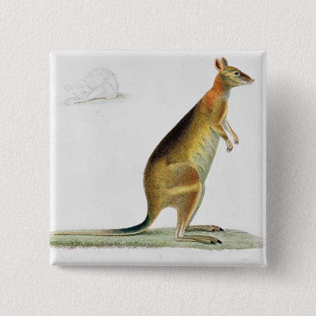Kangaroo, engraved by Coutant Pinback Button (Front)