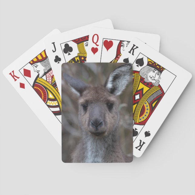 Kangaroo Face  Poker Cards (Back)