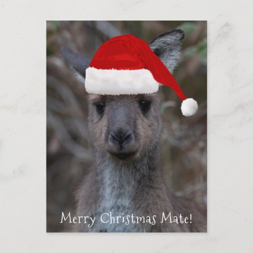 Kangaroo Face Santa Hat Merry Christmas Mate Postcard