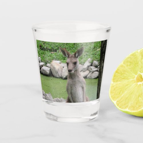 Kangaroo from Down Under _ Australia Shot Glass