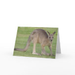 Kangaroo Greeting Card