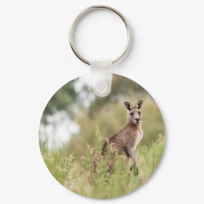 Kangaroo  keychain