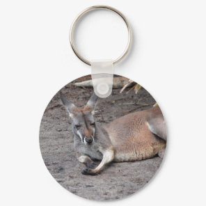 kangaroo lying down eyes closed animal keychain