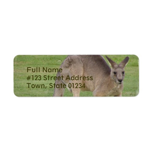 Kangaroo Mailing Label