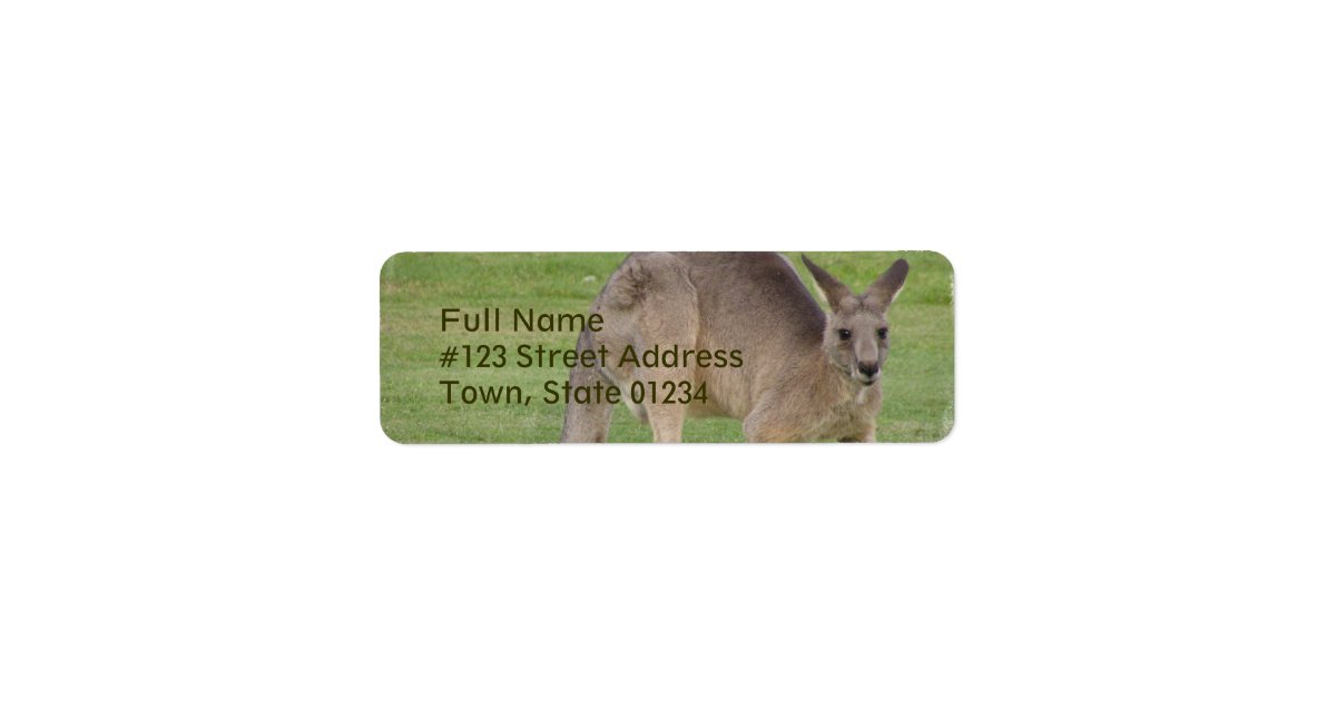 Kangaroo Mailing Label Zazzle