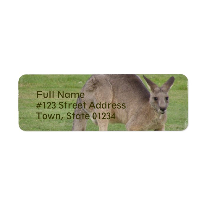 Kangaroo Mailing Label Zazzle