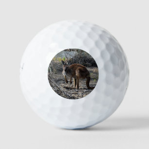 Kangaroo Mean While At The Billabong, Golf Balls