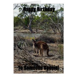 Kangaroo Meanwhile At The Billabong, Birthday Card