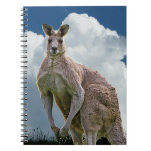 Kangaroo Notebook