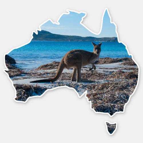 Kangaroo on the Beach Lucky Bay Australia Sticker