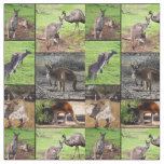 Kangaroo Photo Collage , Fabric