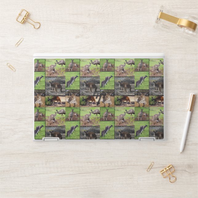 Kangaroo Photo Collage, HP Laptop Skin (Desk)