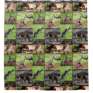 Kangaroo Photo Collage, Shower Curtain. Shower Curtain