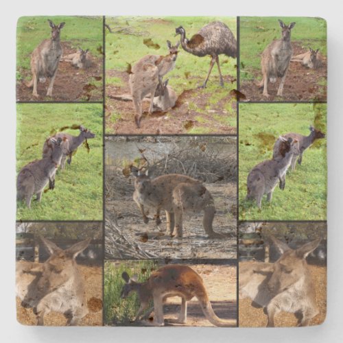 Kangaroo Photo Collage Stone Coaster