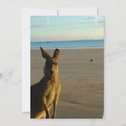 Kangaroo Photo Invitation