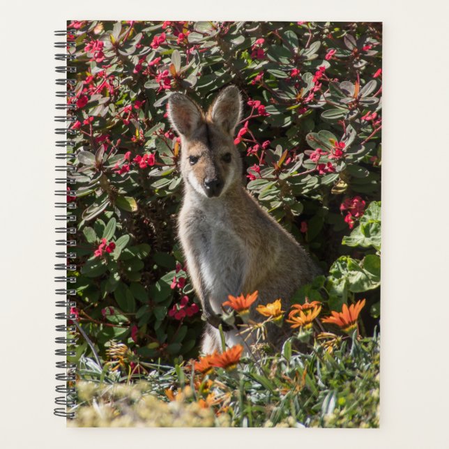 Kangaroo Planner (Front)