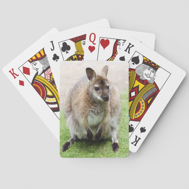 Kangaroo Poker Cards (Back)