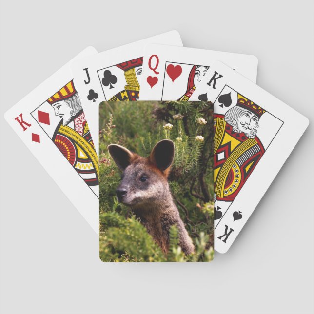 Kangaroo Poker Cards (Back)