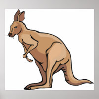 Kangaroo