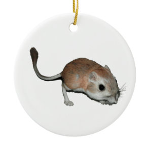 Kangaroo rat ceramic ornament