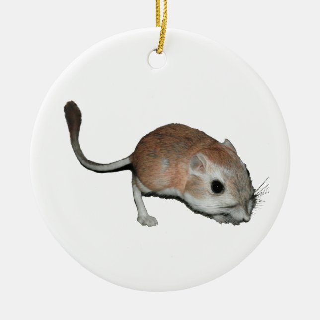 Kangaroo rat ceramic ornament (Front)