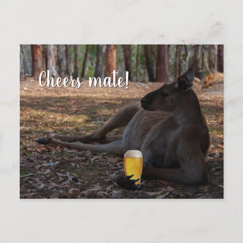 Kangaroo Relaxing with Beer Australia Funny Postcard