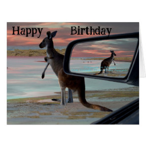 Kangaroo Seaside Breezes, Cards