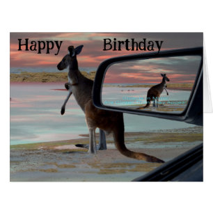Kangaroo Seaside Breezes, Cards